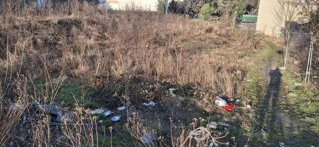 Im Sommer soll es auch zu Rattenbefall kommen. | Foto: zVg