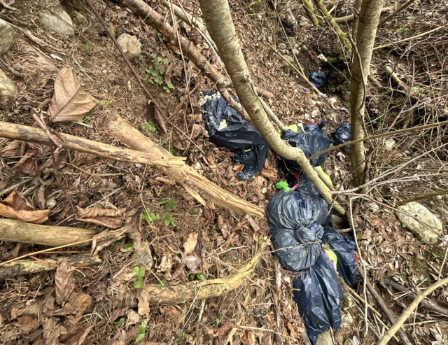 Die Säcke sollen mit Speiseresten gefüllt gewesen sein. | Foto: Polizei Kärnten