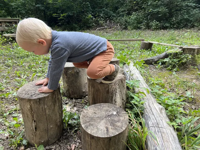 Im Waldkindergarten in Gablitz werden ab drei Jahren aufgenommen | Foto: Bianca Schaufler / Waldkindergarten Gablitz