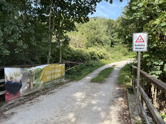 Hinter dieser Kurve wartet das Kinder-Paradies | Foto: Lauren Fahrenberger / MeinBezirk