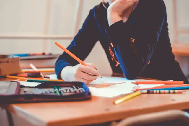 Burgenlands Schülerinnen und Schüler schneiden bei Lesen und Mathematik österreichweit am besten ab.  | Foto: Juraj Varga/Pixabay 