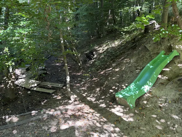 Der Outdoor-Spielplatz zum Austoben | Foto: Lauren Fahrenberger / MeinBezirk