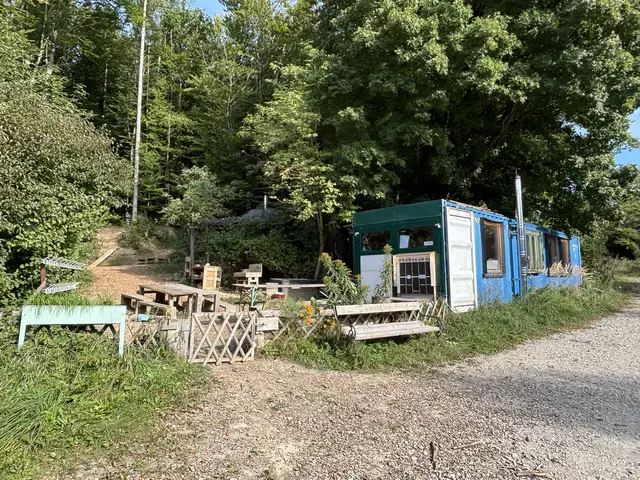 Der erste Blick auf den Waldkindergarten in Gablitz | Foto: Lauren Fahrenberger / MeinBezirk