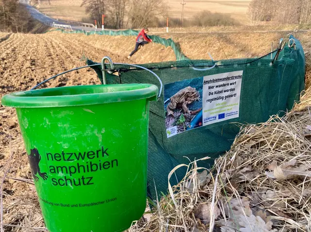 Schutzzäune für Amphibien verhindern Schlimmeres! © H. Kurz