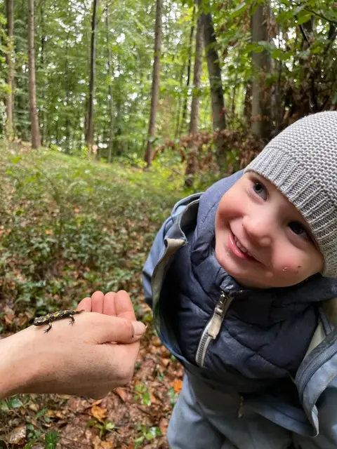 Die Tiere des Waldes werden nicht durch ein Buch, sondern in der Natur kennengelernt | Foto: Bianca Schaufler / Waldkindergarten Gablitz