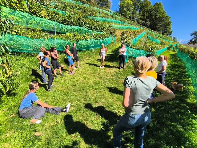 Auch geführte Weinwanderungen sind möglich. | Foto: Die Grafenbergerin