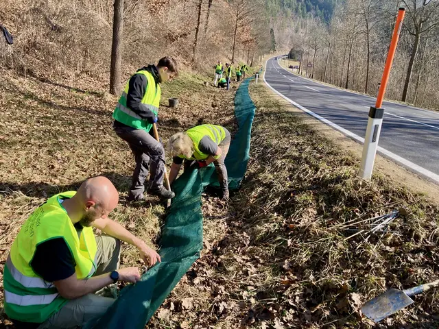 Mehr als ein Dutzend freiwilligen Helfer:innen haben einen 300 Meter langer Zaun entlang der Straße im Flanitztal in Kefermarkt aufgebaut. © H. Kurz