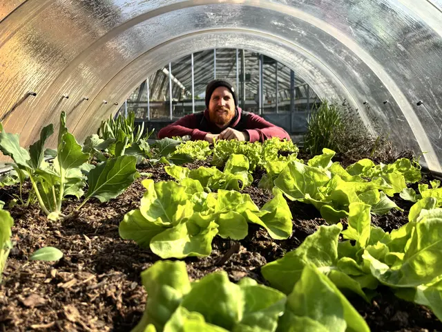 Die Gartensaison ist eröffnet: Gärtnermeister Simon Wedenig verrät, welche Gemüsepflanzen jetzt schon ins Beet können. | Foto: MeinBezirk/Isabella Friessnegg