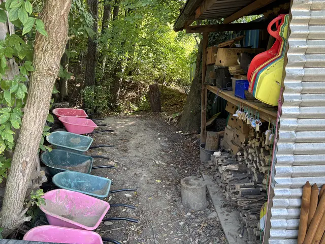 Im Dreck spielen erwünscht: Utensilien, um die Natur zu entdecken | Foto: Lauren Fahrenberger / MeinBezirk