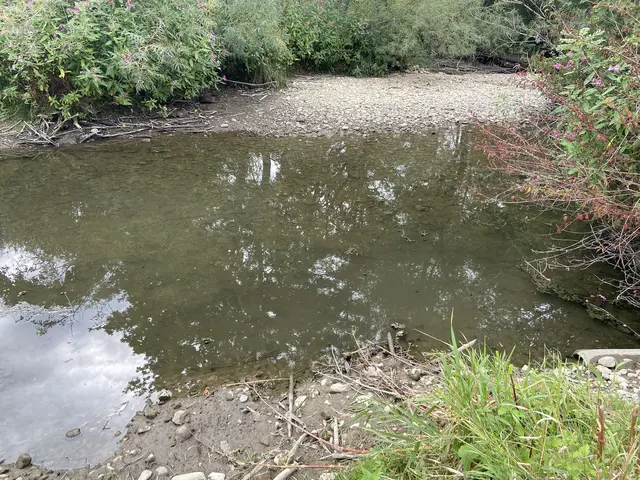 Foto: Stadtamt Mattighofen