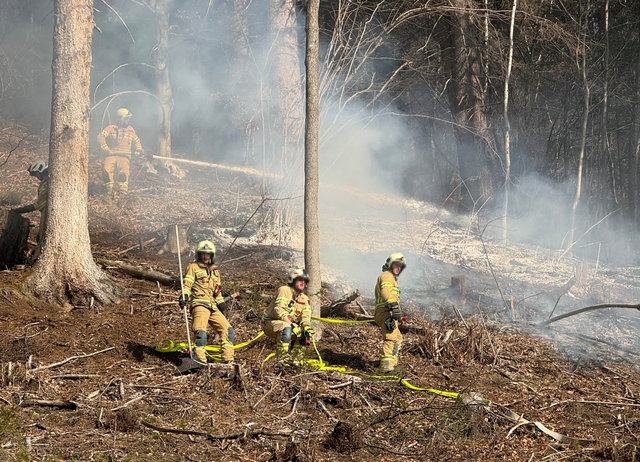 Feuerwehren aus der Region stehen entlang der Strecke der Achenseebahn im Einsatz, nachdem sich ein Brand nach genehmigten Abbrennarbeiten auf rund 400 Meter ausgebreitet hatte | Foto: zoom.tirol