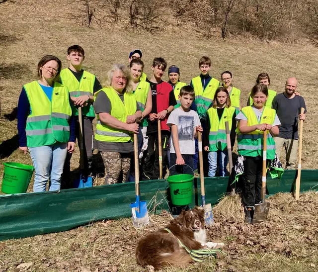 Mehr als ein Dutzend freiwillige Helfer:innen haben einen 300 Meter langer Zaun entlang der Straße im Flanitztal in Kefermarkt aufgebaut. Ganz vorne im Bild Schul- und Therapiehündin Grace. © H. Kurz