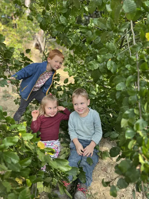 Die "Draußenkinder" haben ein besseres Immunsystem und entwickeln weniger Allergien | Foto: Bianca Schaufler / Waldkindergarten Gablitz