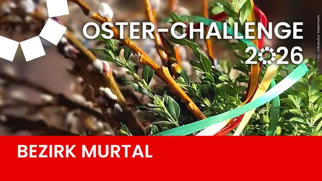 Im Rahmen der Oster-Challenge 2026 machen sich MeinBezirk, die Volkskultur Steiermark und die steirischen Blumenschmuck Gärtner heuer auf die Suche nach dem schönsten Palmbuschen der Steiermark. | Foto: Volkskultur Steiermark/MeinBezirk