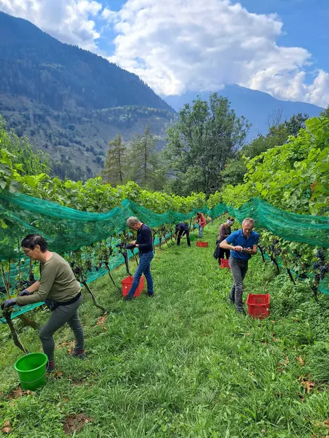 Foto: Die Grafenbergerin
