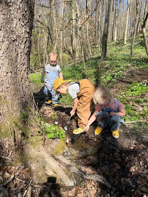 Entdecken, erkunden, lernen – die Natur als Lehrer | Foto: Bianca Schaufler / Waldkindergarten Gablitz