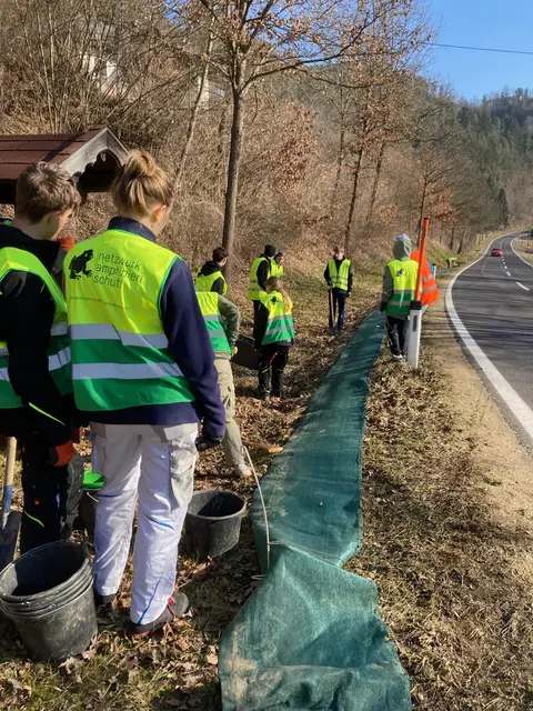 Mehr als ein Dutzend freiwilligen Helfer:innen haben einen 300 Meter langer Zaun entlang der Straße im Flanitztal in Kefermarkt aufgebaut. © H. Kurz