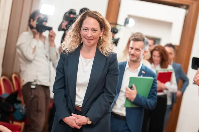 Die Wiener Grünen kommen am Mittwoch und Donnerstag zu einer Klubtagung zusammen. Mit Kritik an der Stadtregierung spart man dabei nicht. (Archiv) | Foto: APA-Images / APA / GEORG HOCHMUTH