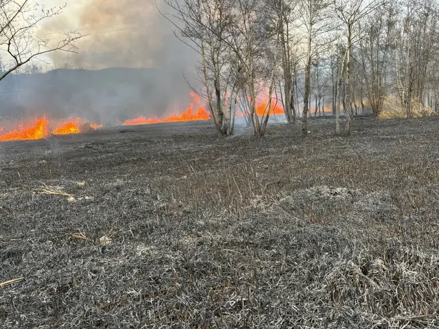 Foto: Freiwillige Feuerwehr Grafenstein