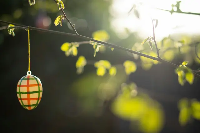 Foto: Julian Berengar Sölter/Unsplash