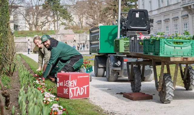 Christina Höpflinger und Herbert Steindl von den Stadtgärten. Hier im Mirabellgarten | Foto: Stadt Salzburg/Alexander Killer