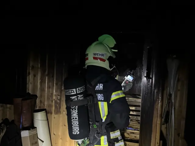 Die Ursache für den Brand ist unbekannt. | Foto: Feuerwehr Klosterneuburg