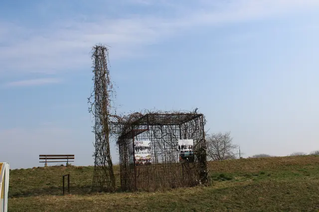 Das Denkmal "Kern-Kraft-Mostviertel" des Künstlers Karl Schwediauer steht seit 2012 am damals vorgesehenen AKW-Gelände. Apfelkerne wurden in die Erde gelegt und setzten eine "Kernfusion" in Kraft.  | Foto: MeinBezirk/Ulrike Plank