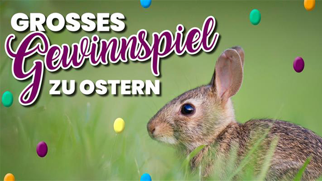 Der Osterhase hat für unser Newsletter-Gewinnspiel ein umfangreiches Geschenkepaket erstellt, das sich sehen lassen kann. Wer eines gewinnen will, meldet sich einfach für den Newsletter an. | Foto: Unsplash
