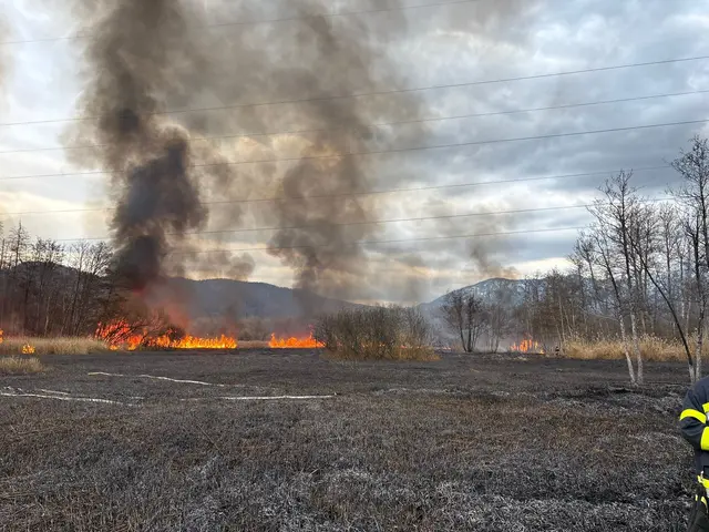 Foto: Freiwillige Feuerwehr Grafenstein