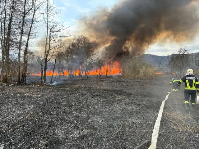 Foto: Freiwillige Feuerwehr Grafenstein