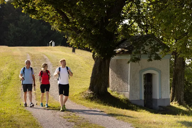 Bewusst auf bestehenden Wanderwegen angelegt, verläuft er zwischen Streuobstwiesen und Vierkanthöfen und bietet Ein- und Ausblicke in die Region. Als wiederkehrendes Symbol entlang des Weges begleiten dabei die "Herz-Birnen". | Foto: Schwarz-König
