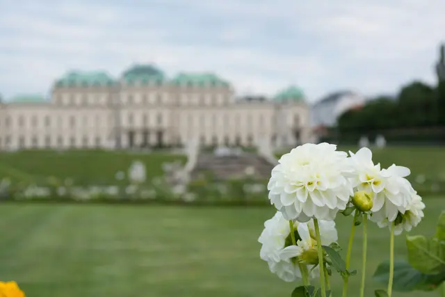 Foto: Fabian Kleiser/Unsplash