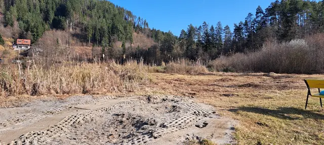 Hier wurden laut Grundstückseigentümerin lediglich Sträucher mit Dornen geschnitten. | Foto: Privat