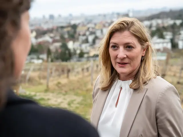 Laut Emmerling ist der Schulbetrieb gesichert und aktuell stünden ausreichend Schulplätze für alle Kinder in Wien zur Verfügung. (Archiv) | Foto: Valentina Marinelić/MeinBezirk