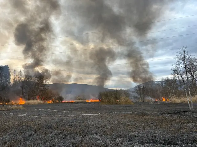 Foto: Freiwillige Feuerwehr Grafenstein