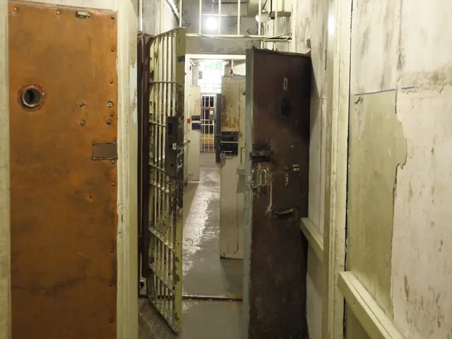 Heftige Kritik an einer Idee der JA Schwarzau am Steinfeld (Symbolbild). | Foto: Santrucek