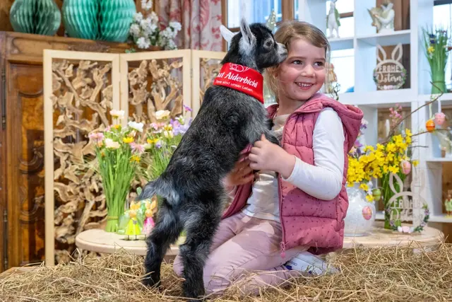 Tierbegegnungen zu Ostern in Henndorf. | Foto: Gut Aiderbichl