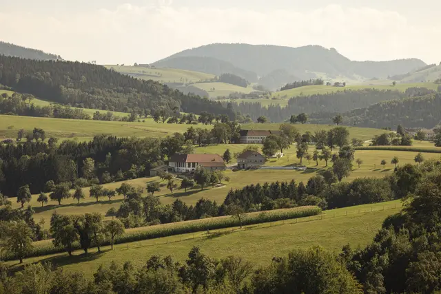 Foto: Schwarz-König