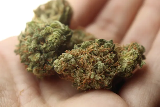 Nach einer Anzeige wegen eines möglichen Einbruchs stellte die Polizei in Sautens bei einem 41-Jährigen Cannabiskraut sowie mehrere Waffen sicher. | Foto: Pixabay (Symbolbild)