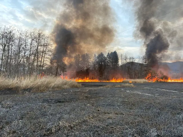 Foto: Freiwillige Feuerwehr Grafenstein