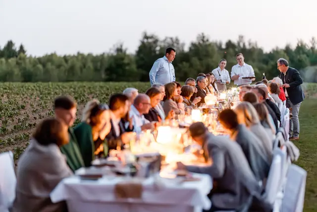 Abendstimmung am Erdäpfelfeld - besondere Atmosphäre in der Natur. | Foto: Waldviertel Tourismus, Matthias Streibel
