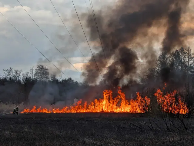 Aufgrund der sich ständig ändernden Windrichtung sowie der anhaltenden Trockenheit soll sich der Brand rasch ausgebreitet haben. | Foto: Freiwillige Feuerwehr Grafenstein