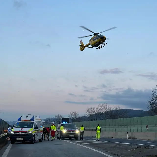 Der Rettungshubschrauber Christophorus 17 flog den schwer verletzten Mann ins UKH Wiener Neustadt eingeliefert. | Foto: FF Kindberg-Stadt
