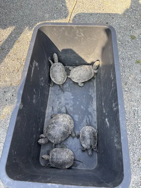 Foto: Claudia Bräuer