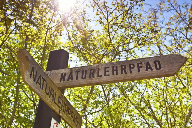 Der Naturlehrpfad Obere Lobau gibt einen Einblick in das Ökosystem. Der Weg verläuft zwischen den Nationalpark-Eingängen Saltenstraße und Dechantweg | Foto: panthermedia/creativemarc