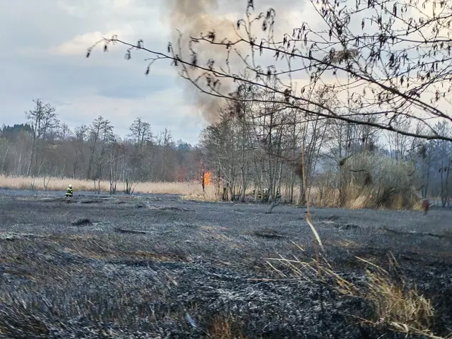 Foto: Freiwillige Feuerwehr Zell-Gurnitz