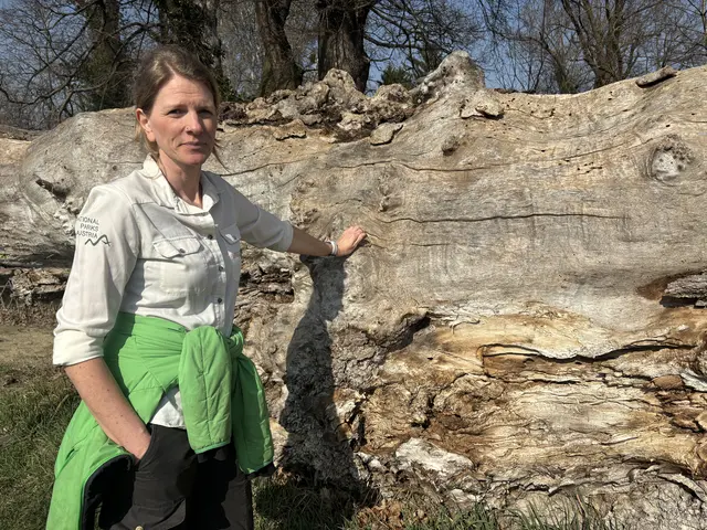 Foto: Claudia Bräuer