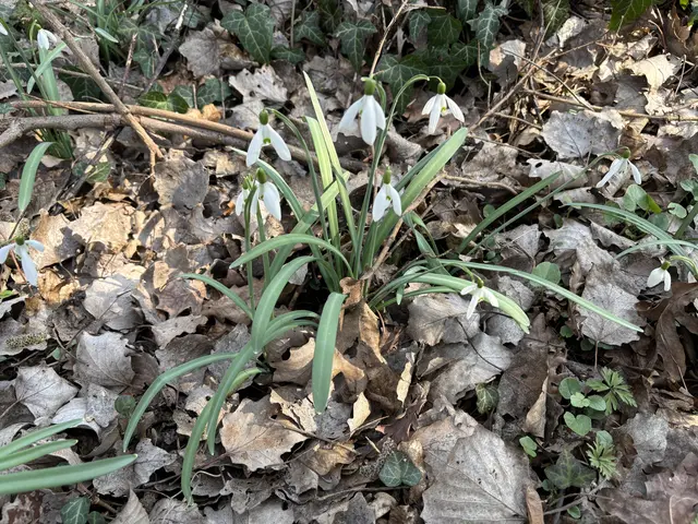 Foto: Claudia Bräuer