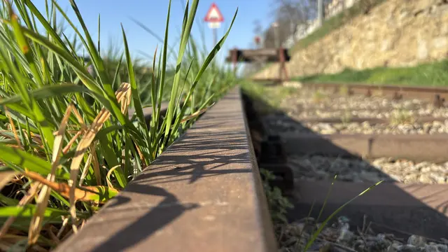Foto: Andreas Pölzl/MeinBezirk
