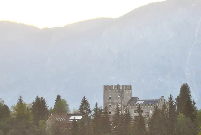 Foto: Nikolaus Kogler